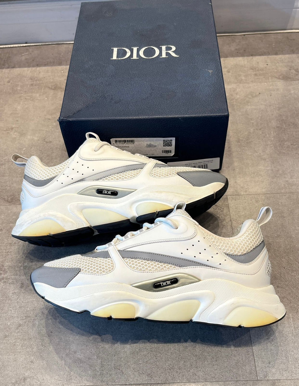 Dior B22 - White & Grey